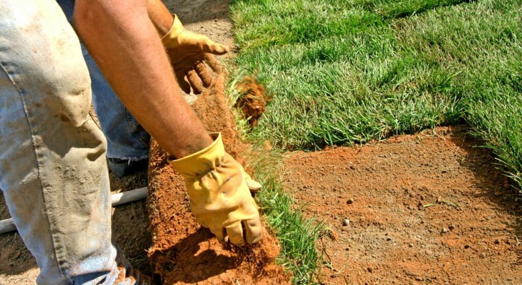 Les avantages d'une entreprise spécialisée dans l'entretien de jardin à Metz | decor-paysage