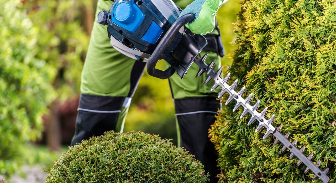 Paysagiste Entretien Jardin à Metz Votre Solution Complète pour un Jardin Épanoui | decor-paysage