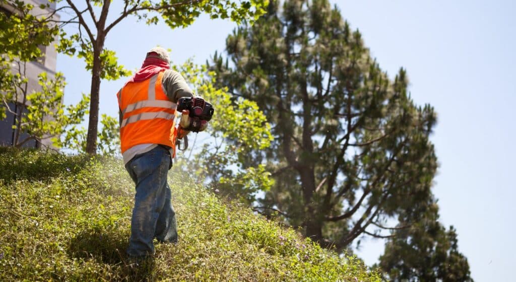 Pourquoi l'entretien de jardin est-il important | decor-paysage